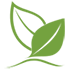 Filmop green logo (PSV)